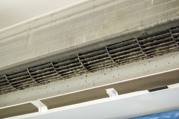 Best Air Duct Cleaning Near Me  in Macon, MO